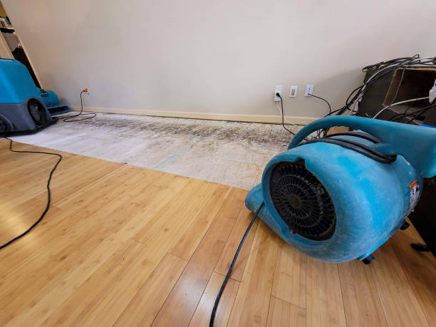 Reliable Basement Flood Cleanup contractor in Buda, TX by Hirex Water Damage