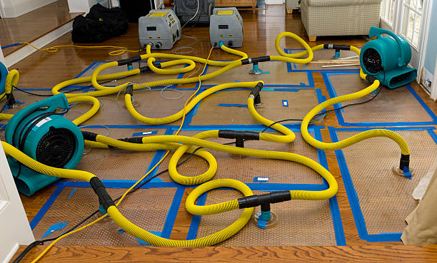 Professional Basement Flood Cleanup technician working in Buda, TX